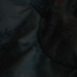 Meet your Posher, Lucy